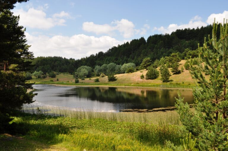 KIZILCAHAMAM